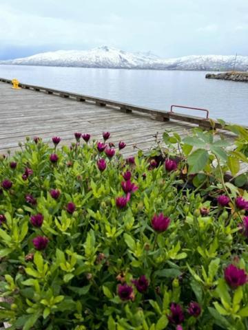 2. Etg I Dampskipsbrygga, Lodingen Havn Exterior foto